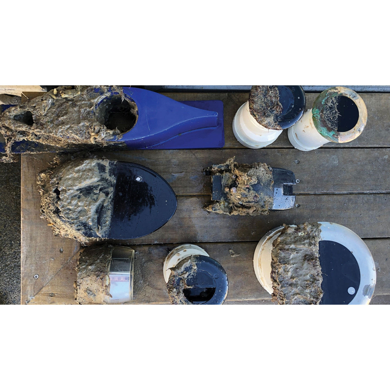 Propspeed Light Speed